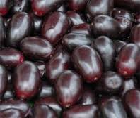 jamun controls blood sugar