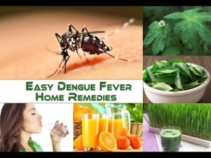 Remedies of Dengue Fever