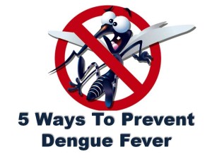 prevent Dengue